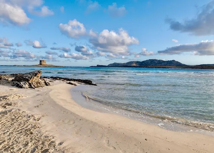 With Air Conditioning And Shared Pool, Just A Few Minutes From La Pelosa Ξενοδοχείο με διαμερίσματα Punta de su Torrione