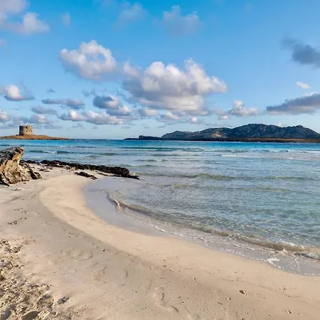With Air Conditioning And Shared Pool, Just A Few Minutes From La Pelosa Appart hôtel Punta de su Torrione